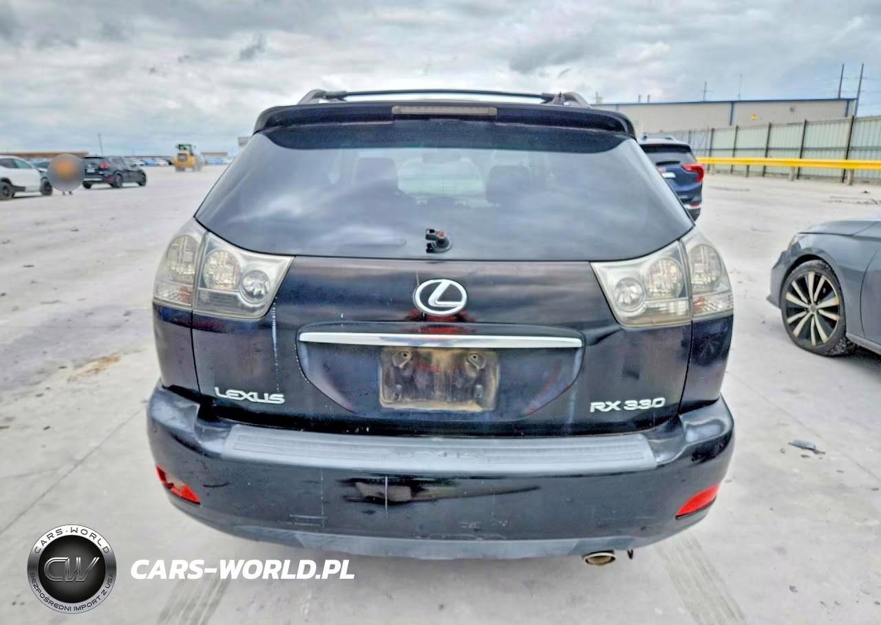 2004 Lexs Rx 330 VIN:JTJGA31U340016193 - 6