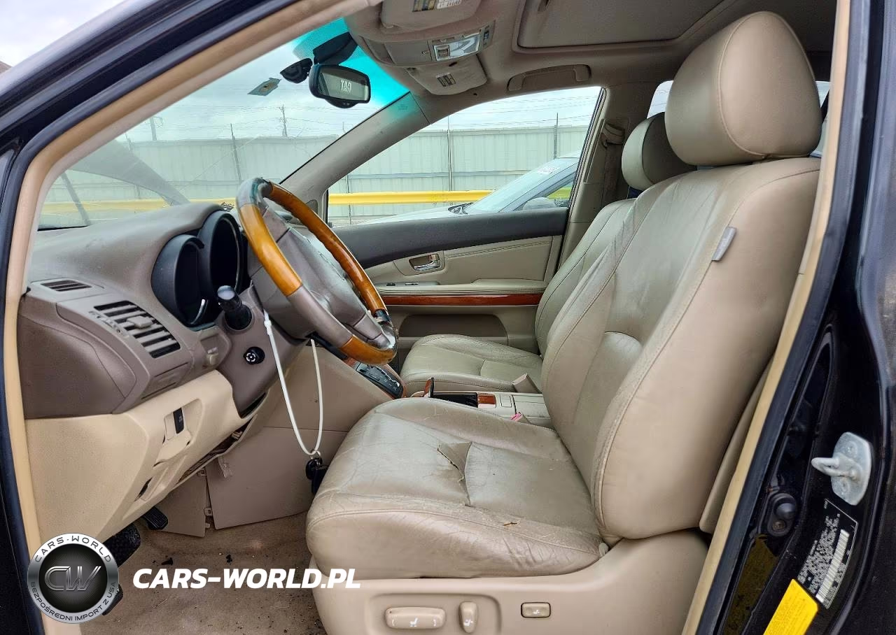2004 Lexs Rx 330 VIN:JTJGA31U340016193 - 7