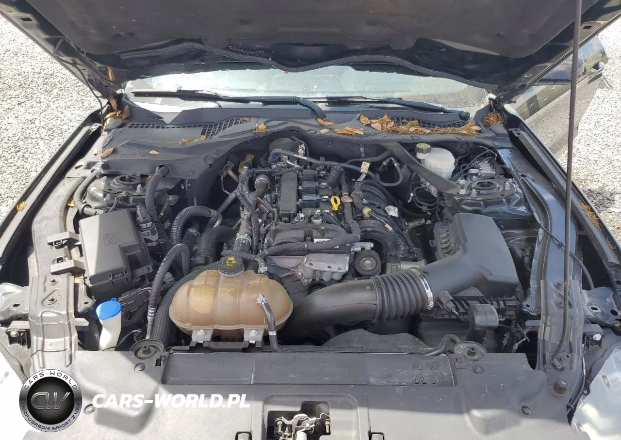 2021 Ford Mustang VIN:1FATP8UH3M5115987 - 11