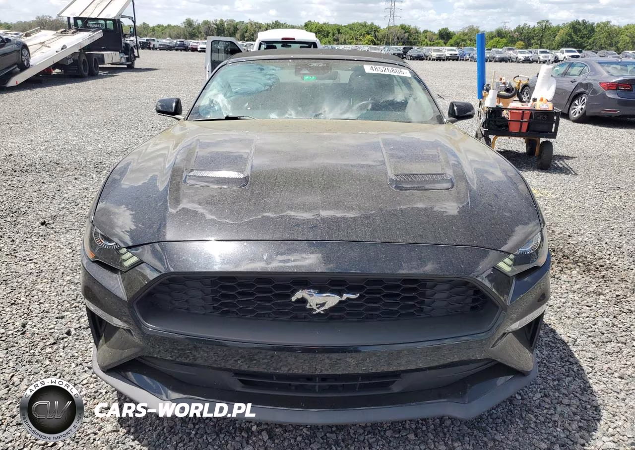 2021 Ford Mustang VIN:1FATP8UH3M5115987 - 5
