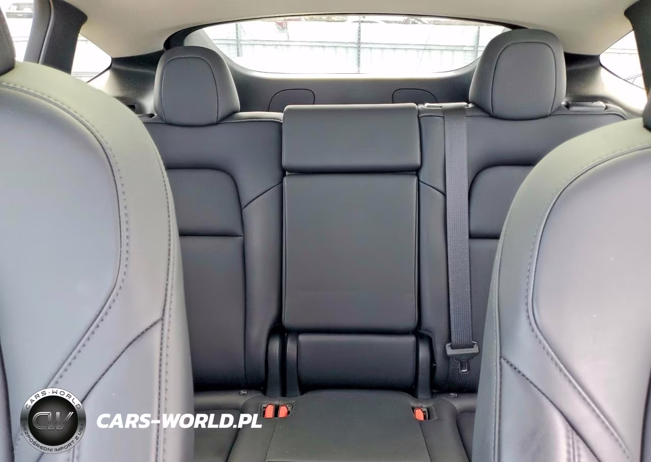 2024 Tesla Model Y VIN:7SAYGDED7RF107114 - 10