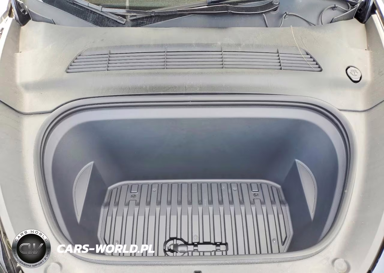 2024 Tesla Model Y VIN:7SAYGDED7RF107114 - 12