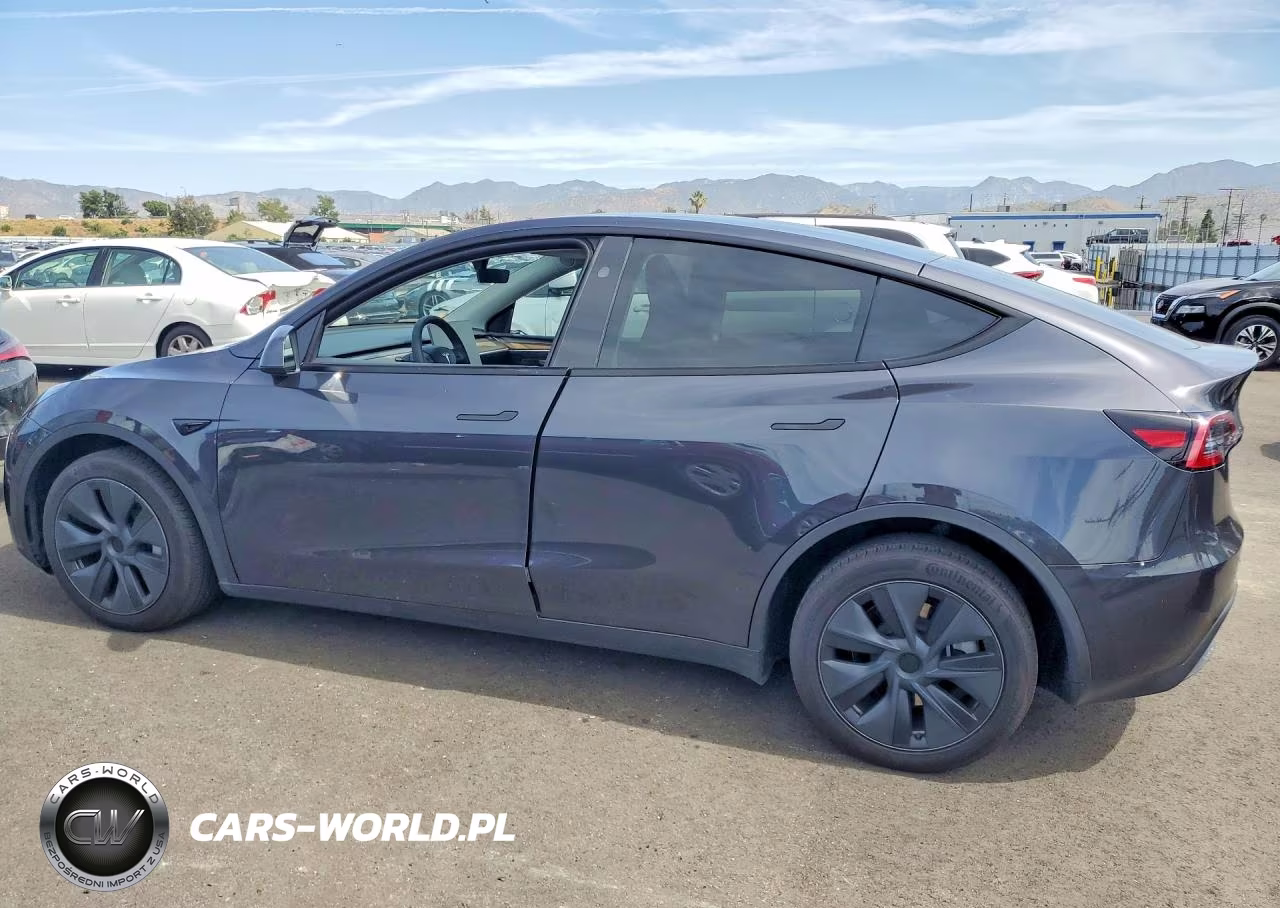 2024 Tesla Model Y VIN:7SAYGDED7RF107114 - 2