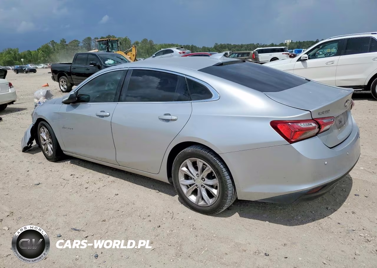 2019 Chevrolet Malibu Lt VIN:1G1ZD5ST5KF170055 - 2