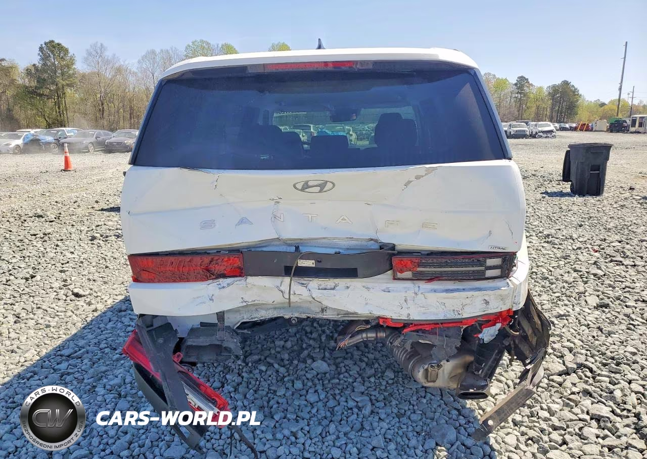 2025 Hyundai Santa Fe Se VIN:5NMP1DGL0SH101870 - 6