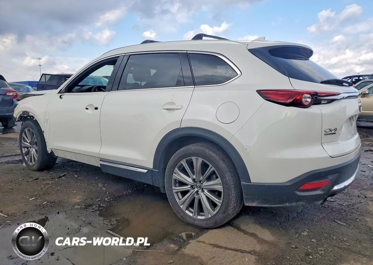 2021 Mazda Cx-9 Signature VIN:JM3TCBEYXM0534702 - 2