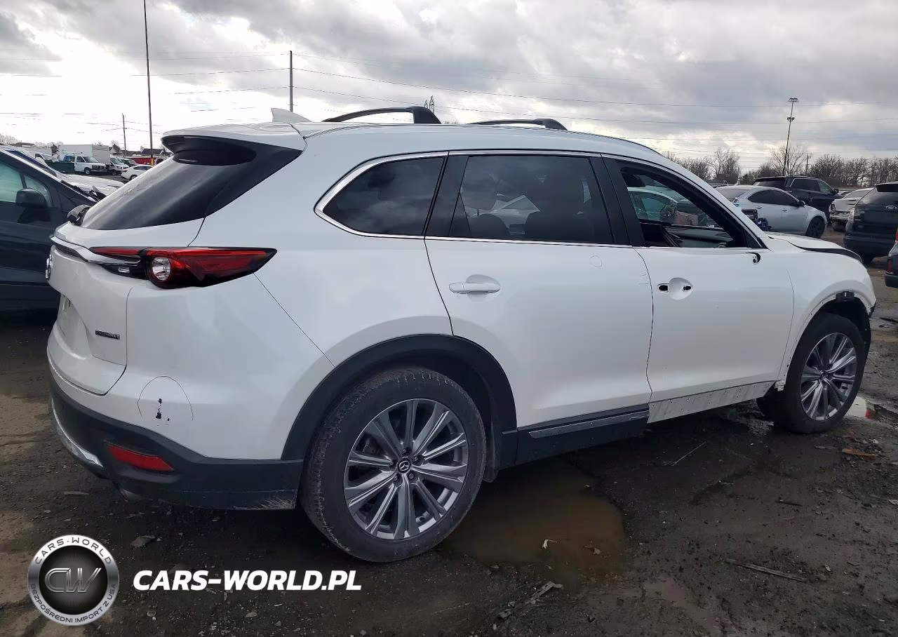 2021 Mazda Cx-9 Signature VIN:JM3TCBEYXM0534702 - 3