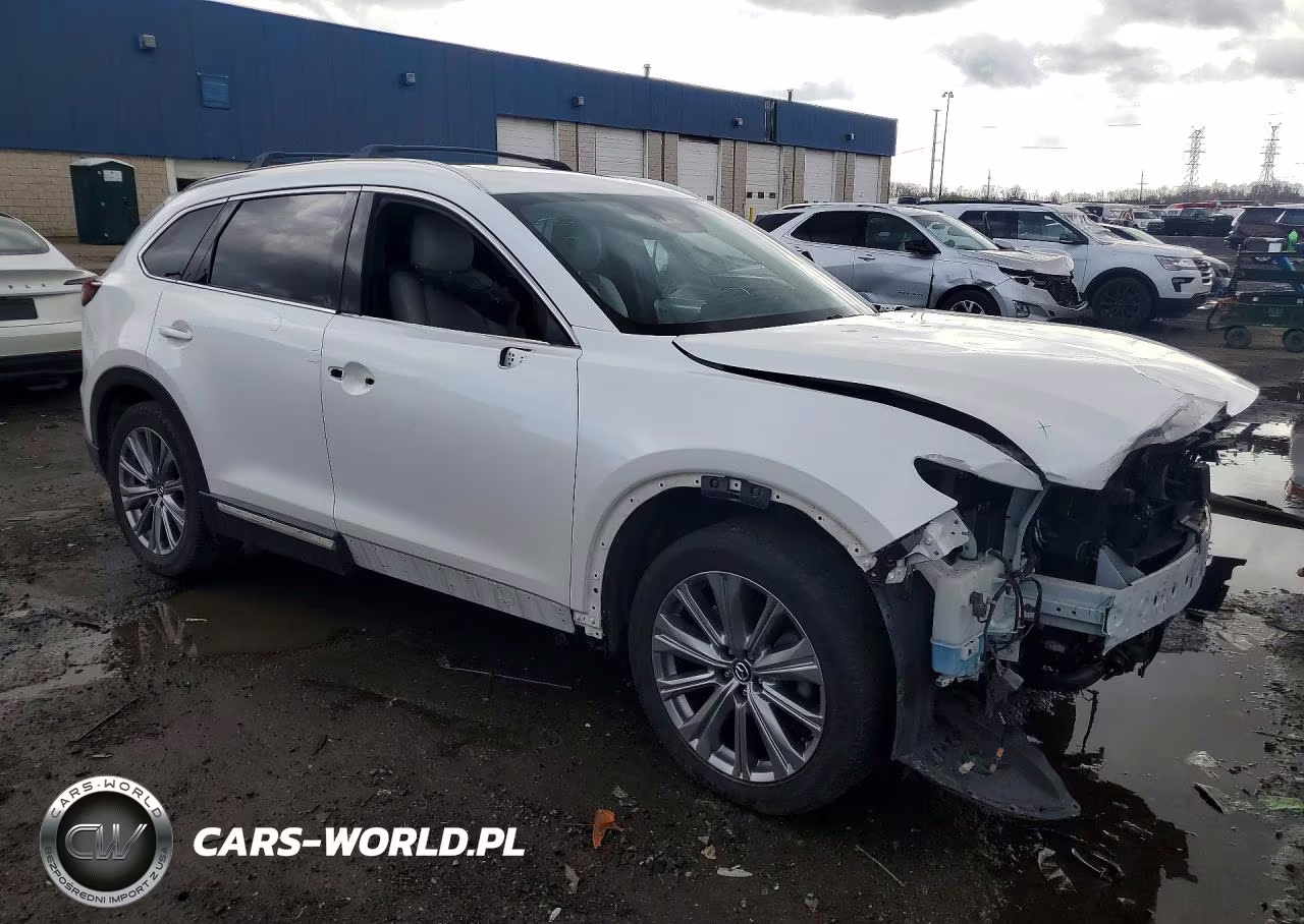 2021 Mazda Cx-9 Signature VIN:JM3TCBEYXM0534702 - 4