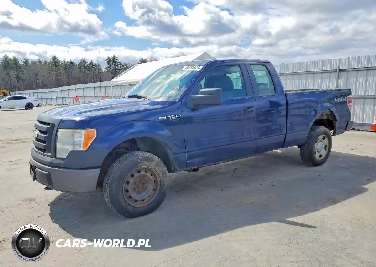 2009 Ford F-150