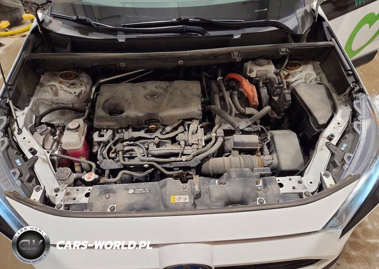 2019 Toyota Rav4 Hybrid Le VIN:2T3LWRFV0KW027698 - 12