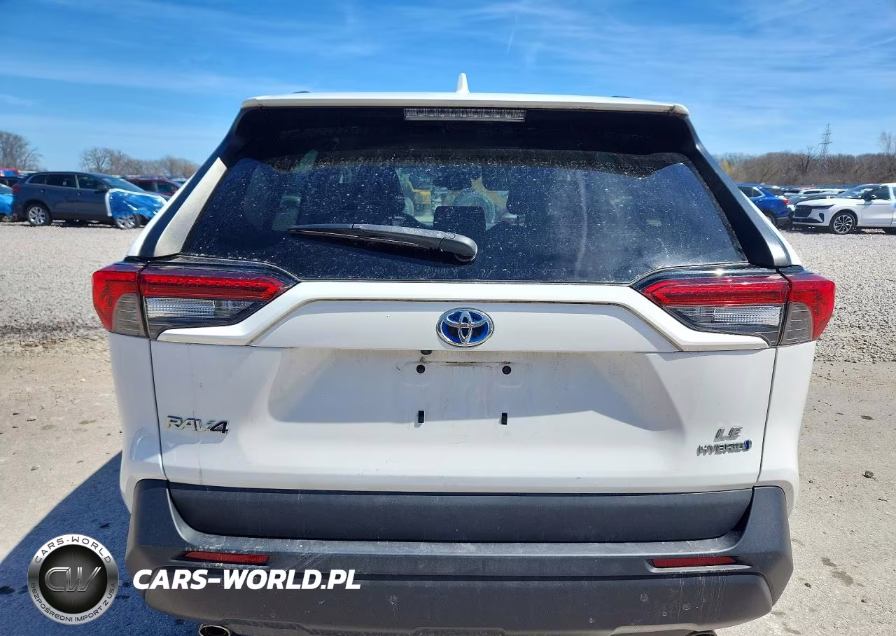 2019 Toyota Rav4 Hybrid Le VIN:2T3LWRFV0KW027698 - 6