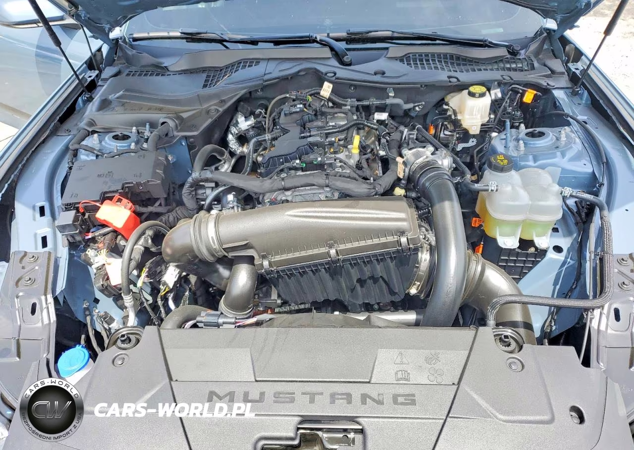 2025 Ford Mustang VIN:1FA6P8TH7S5125658 - 11