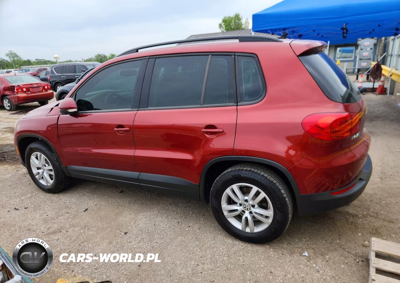 2015 Volkswagen Tiguan S VIN:WVGAV7AX7FW111334 - 2