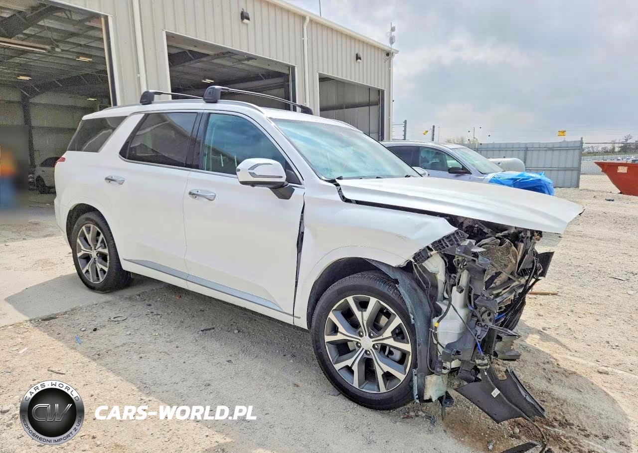 2022 Hyundai Palisade Limited VIN:KM8R5DHE2NU460613 - 4