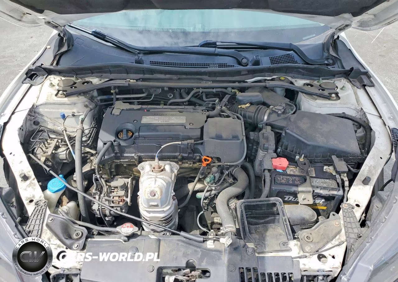 2014 Honda Accord Exl VIN:1HGCR2F81EA242679 - 11