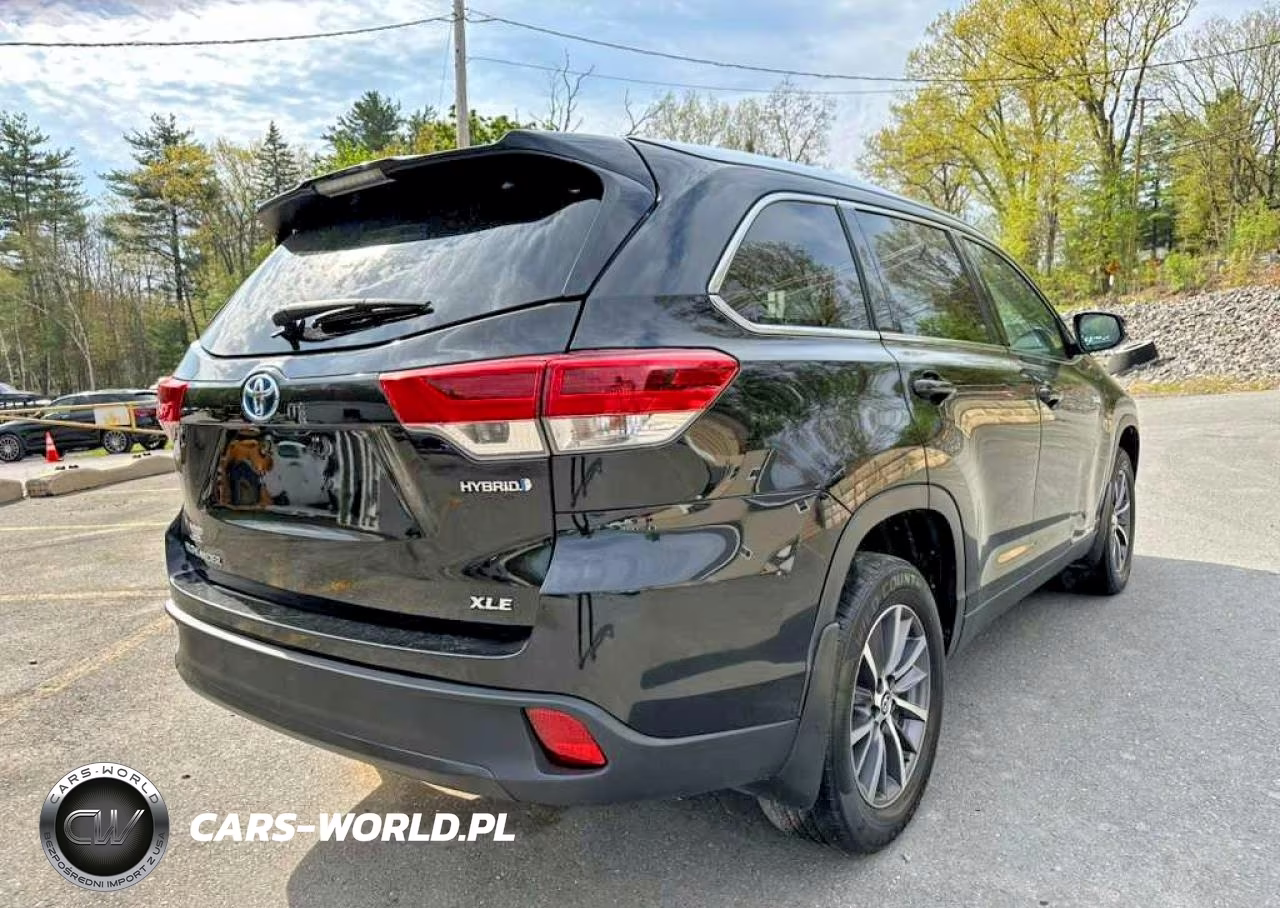 2019 Toyota Highlander Hybrid Xle VIN:5TDJGRFH9KS062515 - 3