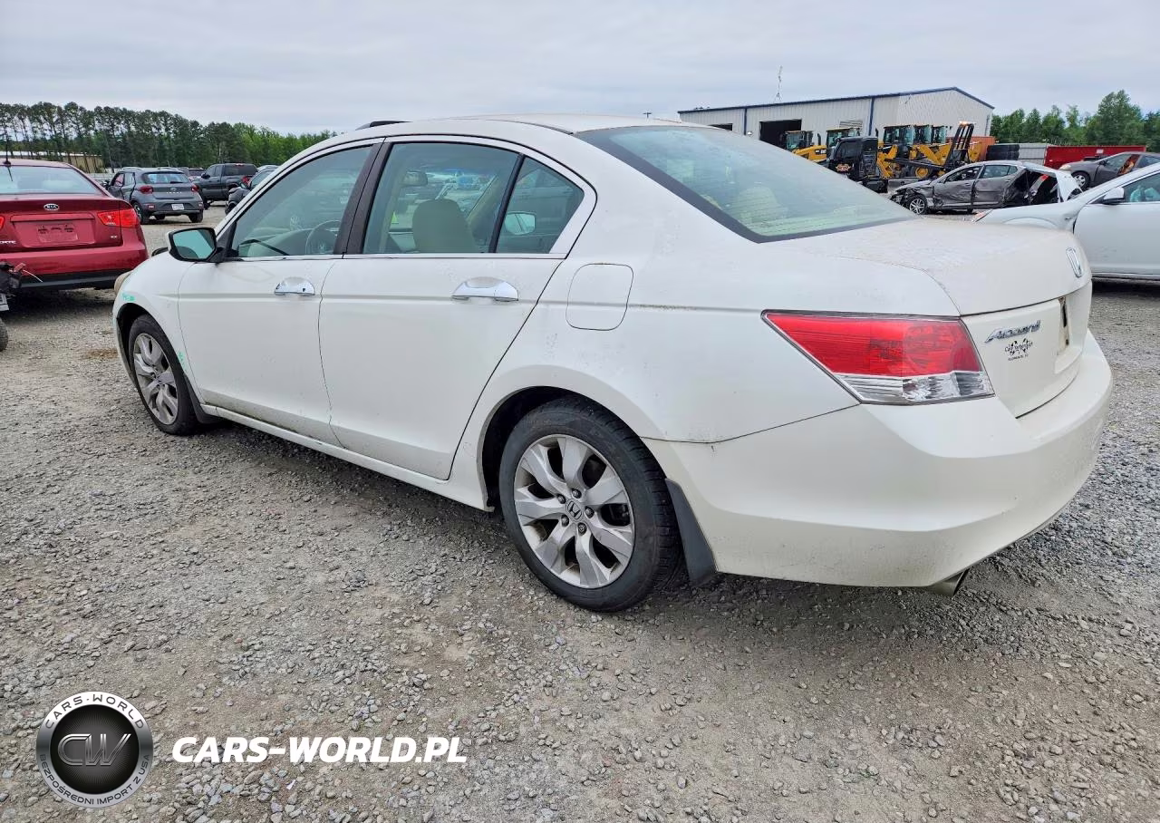 2010 Honda Accord Exl VIN:5KBCP3F83AB012669 - 2