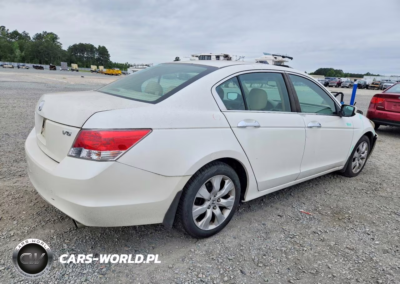 2010 Honda Accord Exl VIN:5KBCP3F83AB012669 - 3