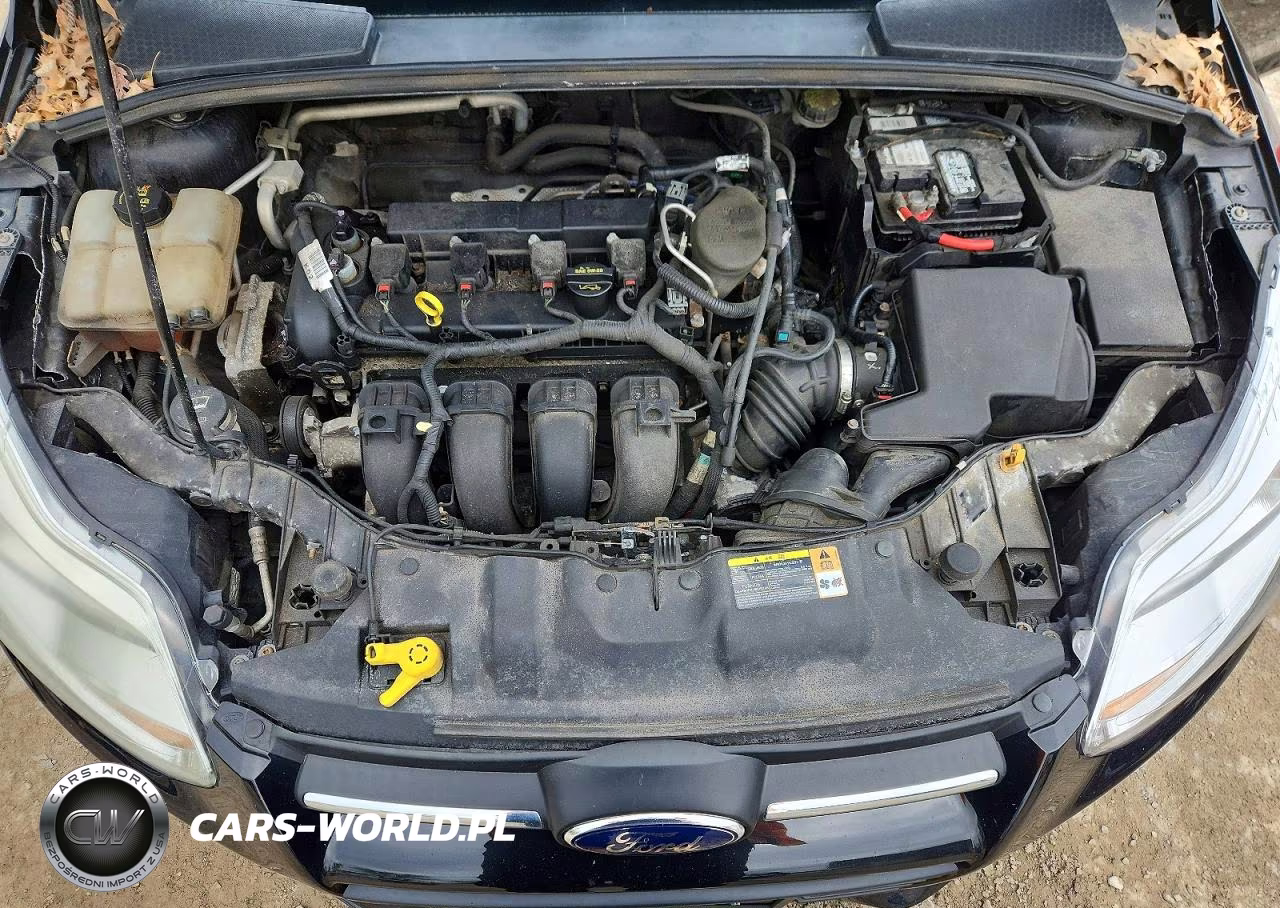 2014 Ford Focus Se VIN:1FADP3K26EL105893 - 11