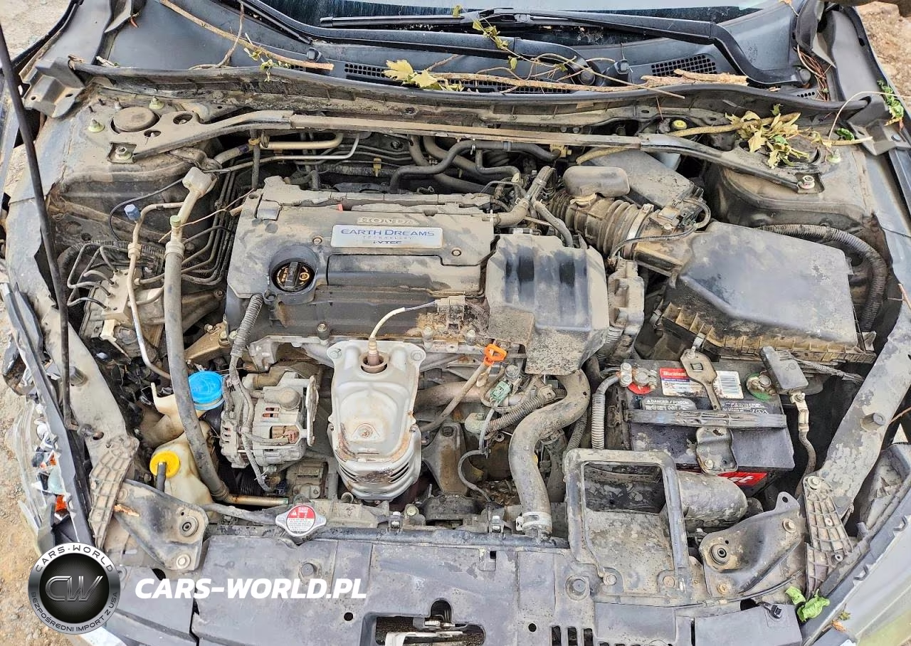 2013 Honda Accord Exl VIN:1HGCR2F84DA251813 - 11