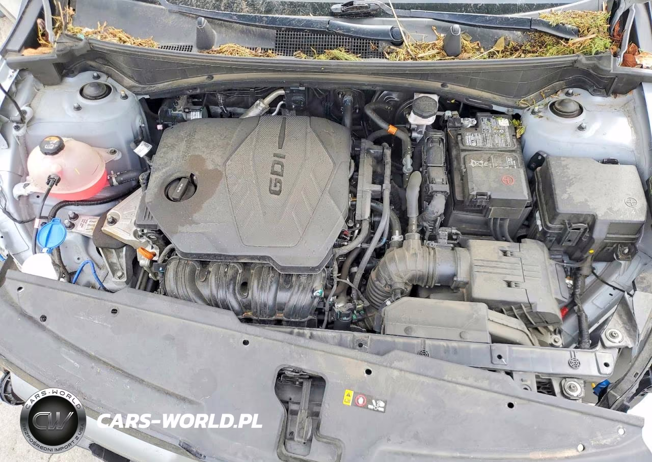 2023 Kia Sportage X Line VIN:5XYK6CAF9PG057443 - 12