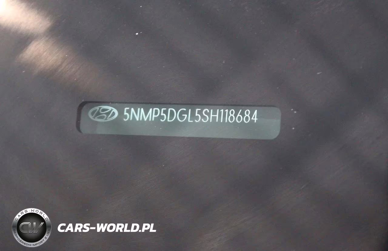 2025 Hyundai Santa Fe Calligraphy VIN:5NMP5DGL5SH118684 - 10