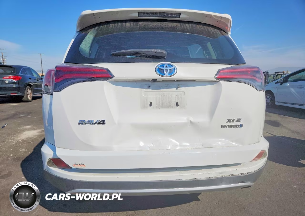 2016 Toyota Rav4 Hybrid Xle VIN:JTMRJREV2GD031430 - 6