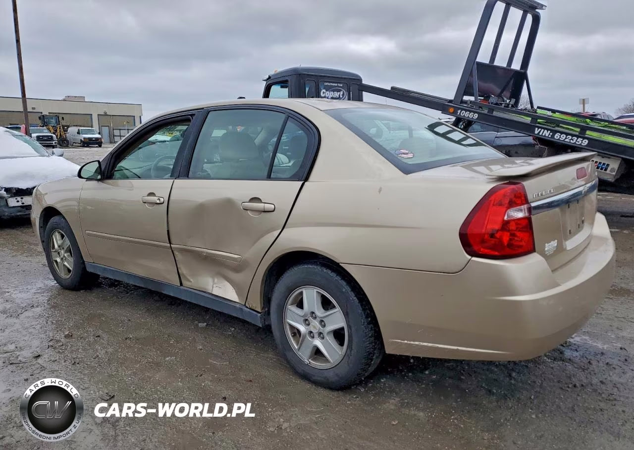 2005 Chevrolet Malibu Ls VIN:1G1ZT52815F310377 - 2