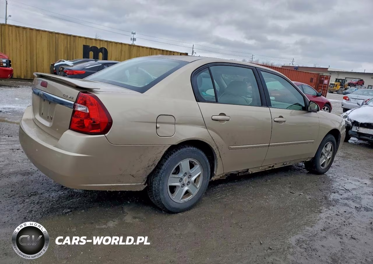 2005 Chevrolet Malibu Ls VIN:1G1ZT52815F310377 - 3