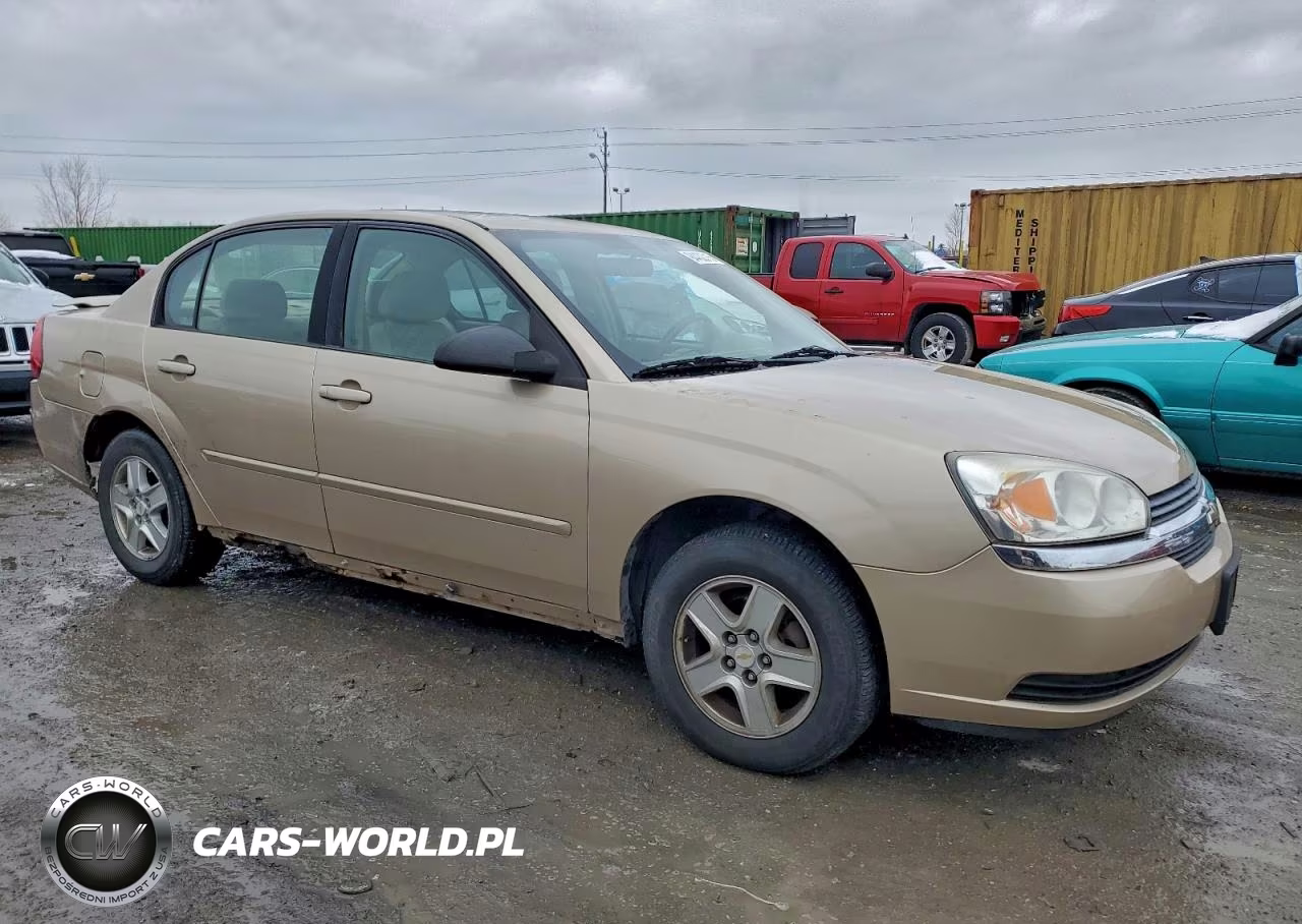 2005 Chevrolet Malibu Ls VIN:1G1ZT52815F310377 - 4
