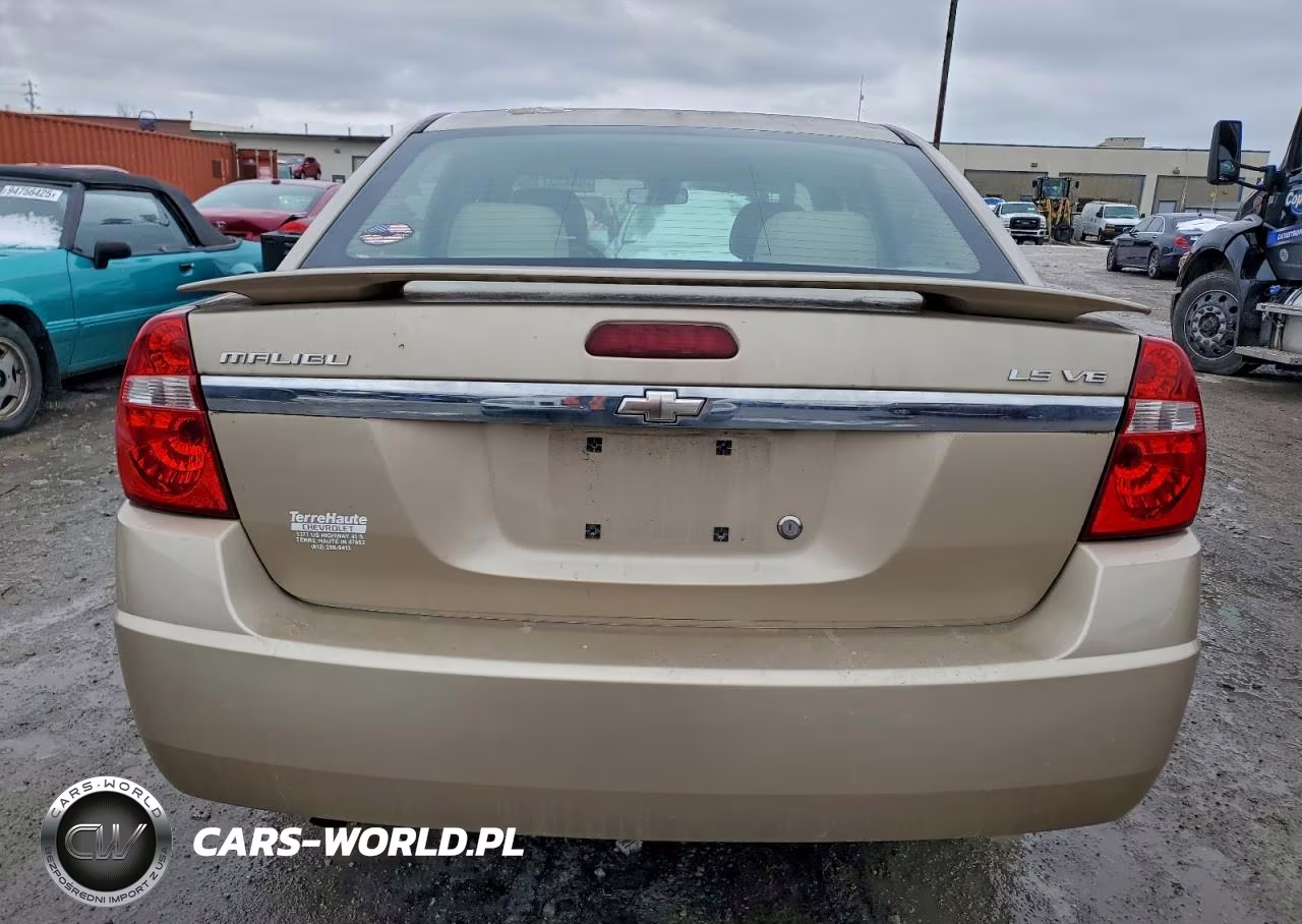 2005 Chevrolet Malibu Ls VIN:1G1ZT52815F310377 - 6