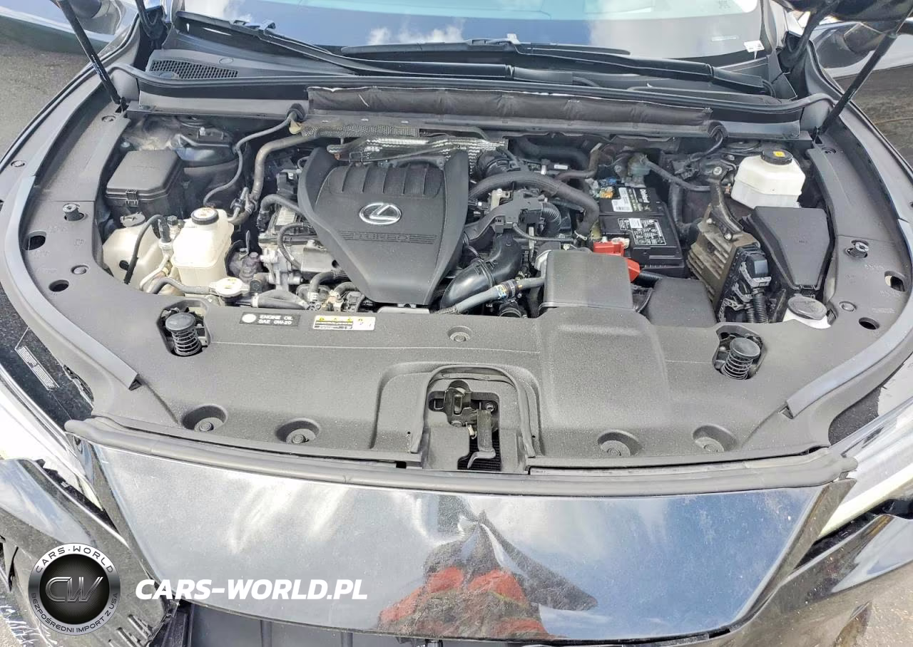 2023 Lexus Rx 350 Luxury VIN:2T2BAMBA6PC004133 - 11