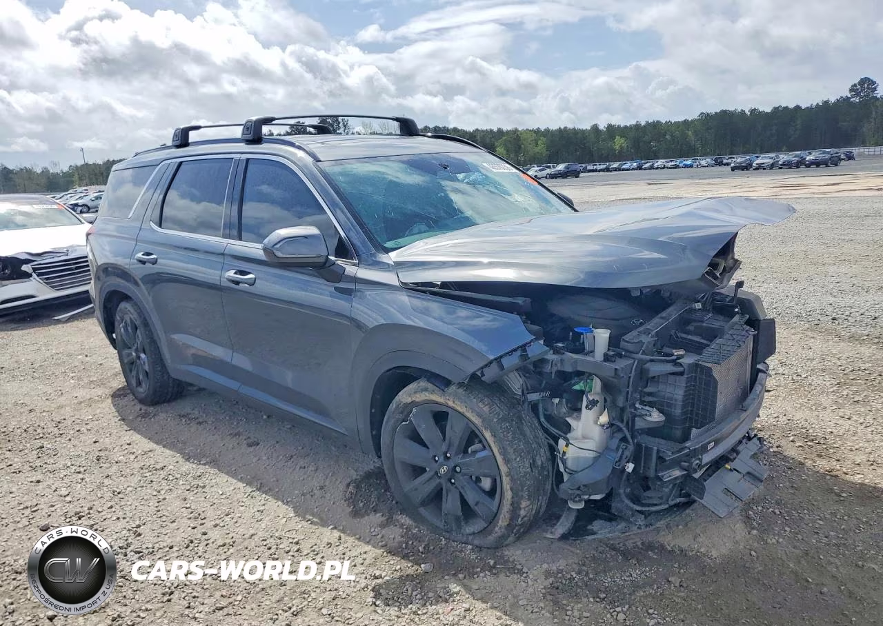 2023 Hyundai Palisade Xrt VIN:KM8R34GE0PU605397 - 4