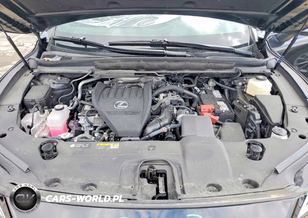 2024 Lexus Rx 350 Base VIN:2T2BAMCA2RC084760 - 12