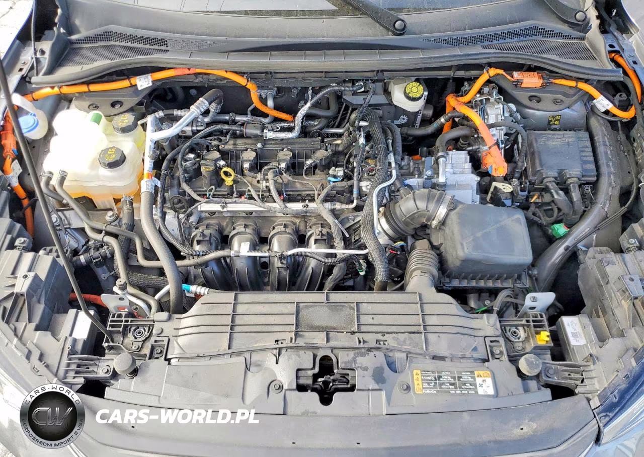 2024 Ford Escape VIN:1FMCU0E13RUA89499 - 12