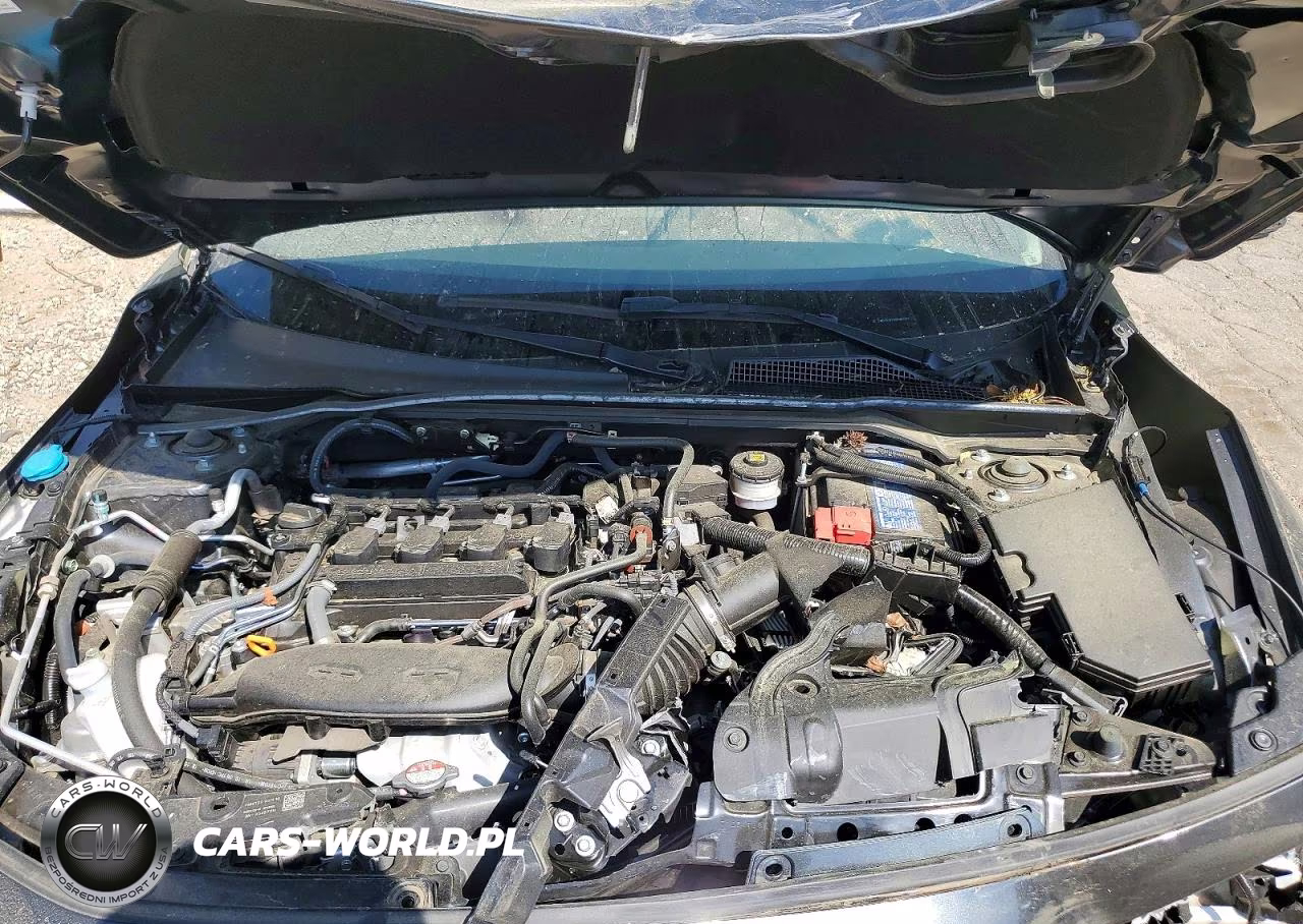 2024 Honda Civic Ex VIN:2HGFE1F7XRH302427 - 11