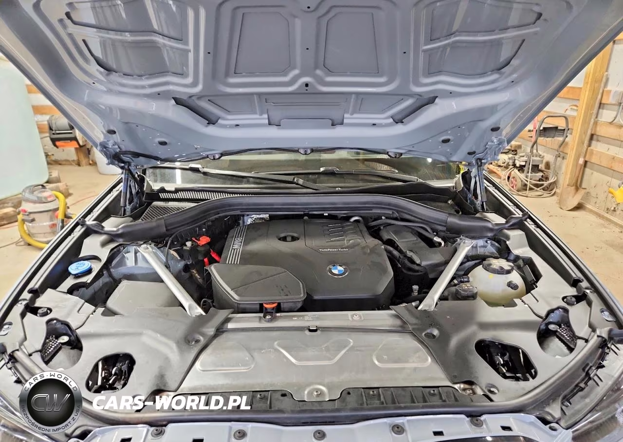 2025 BMW X4 xDrive30I VIN:5UX33DT09S9Y15415 - 11