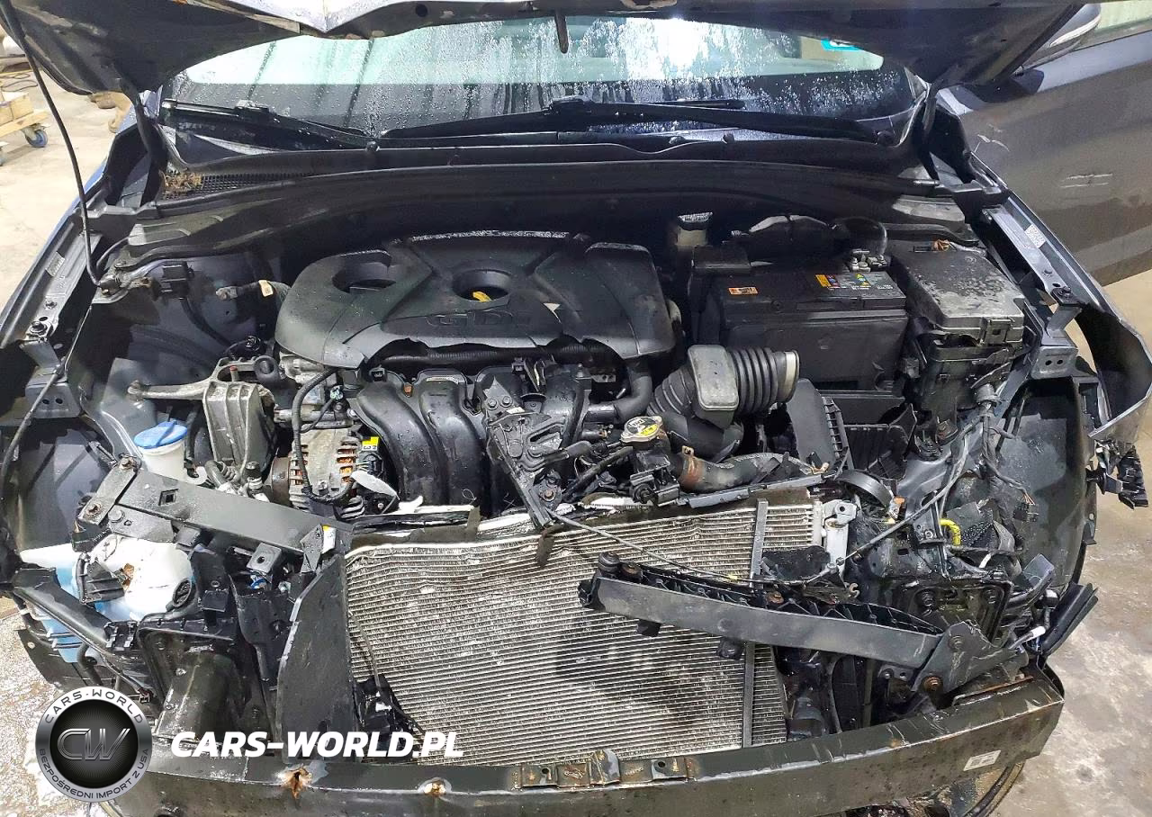2019 Hyundai Elantra Gt Base VIN:KMHH35LE0KU116594 - 11
