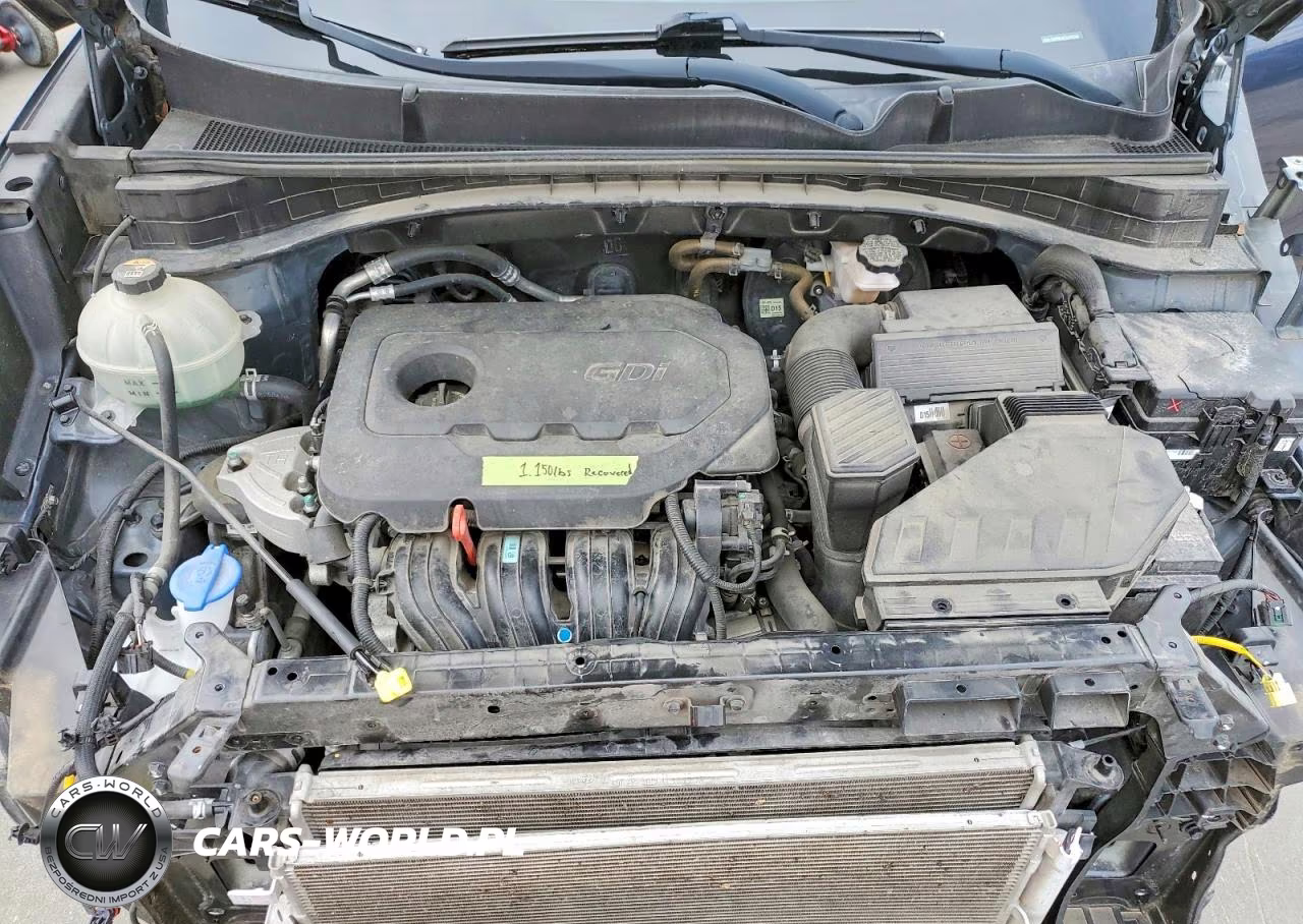 2020 Kia Sportage Lx VIN:KNDPMCAC7L7791300 - 12