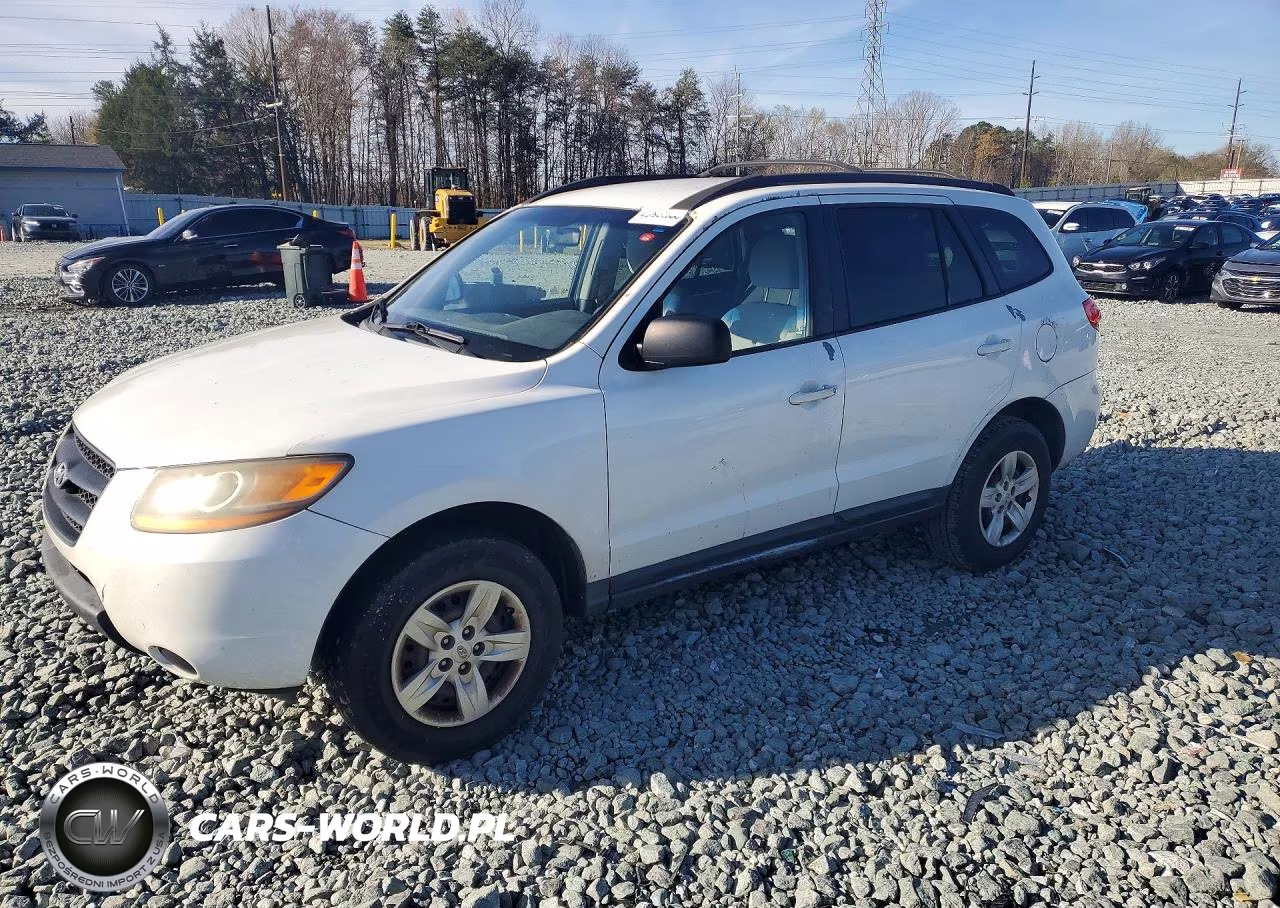 2009 Hyundai Santa Fe Gls