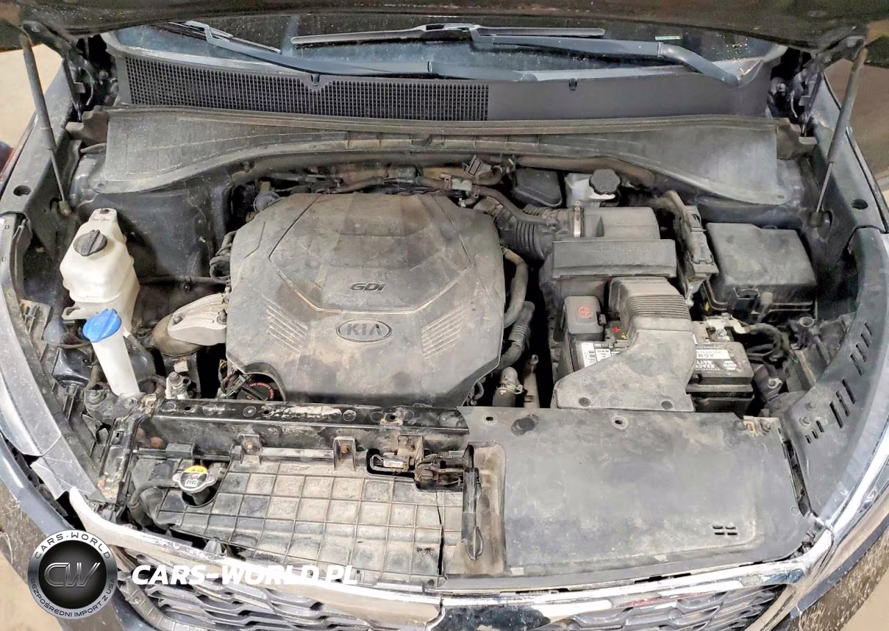 2019 Kia Sorento Ex V6 VIN:5XYPHDA57KG515759 - 12