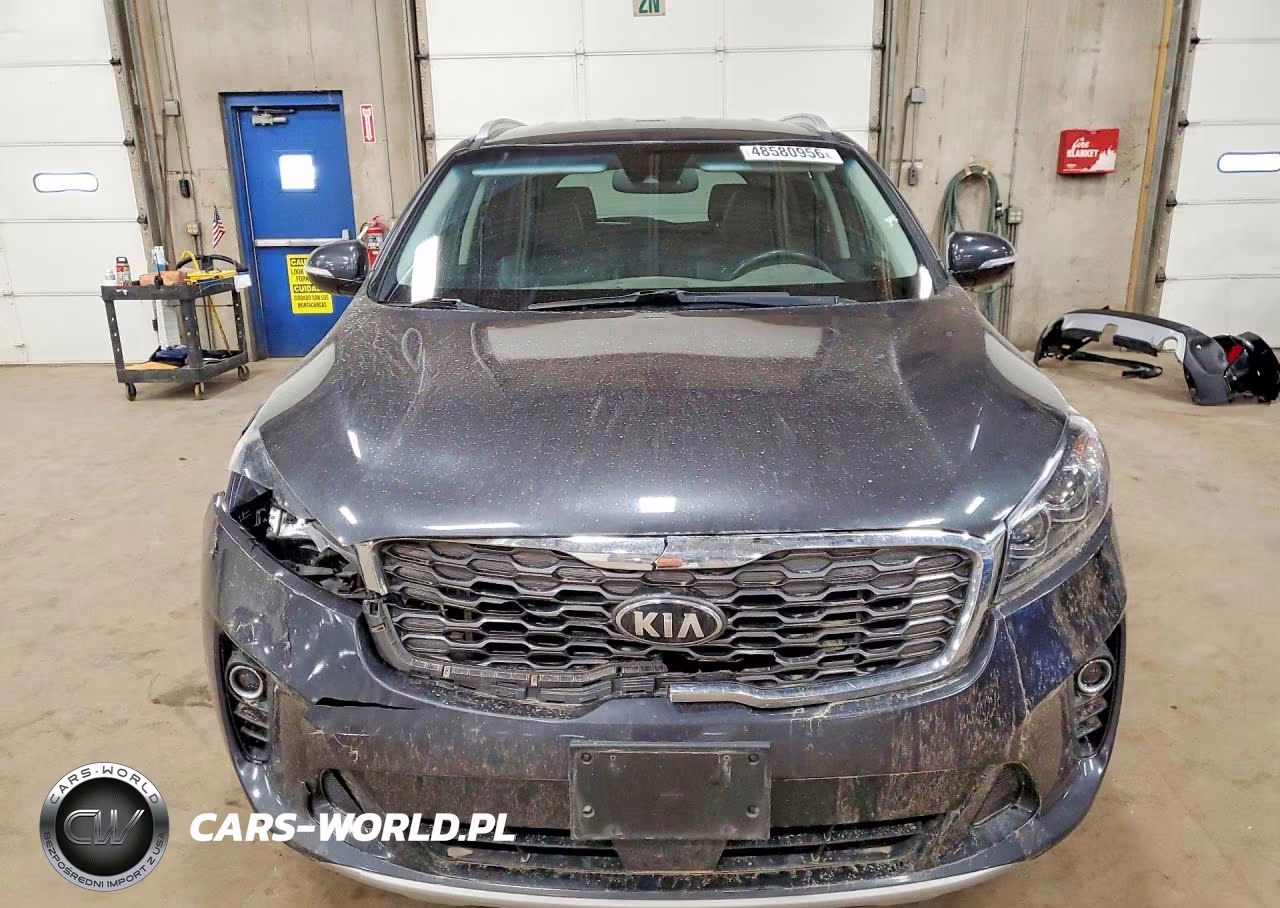 2019 Kia Sorento Ex V6 VIN:5XYPHDA57KG515759 - 5