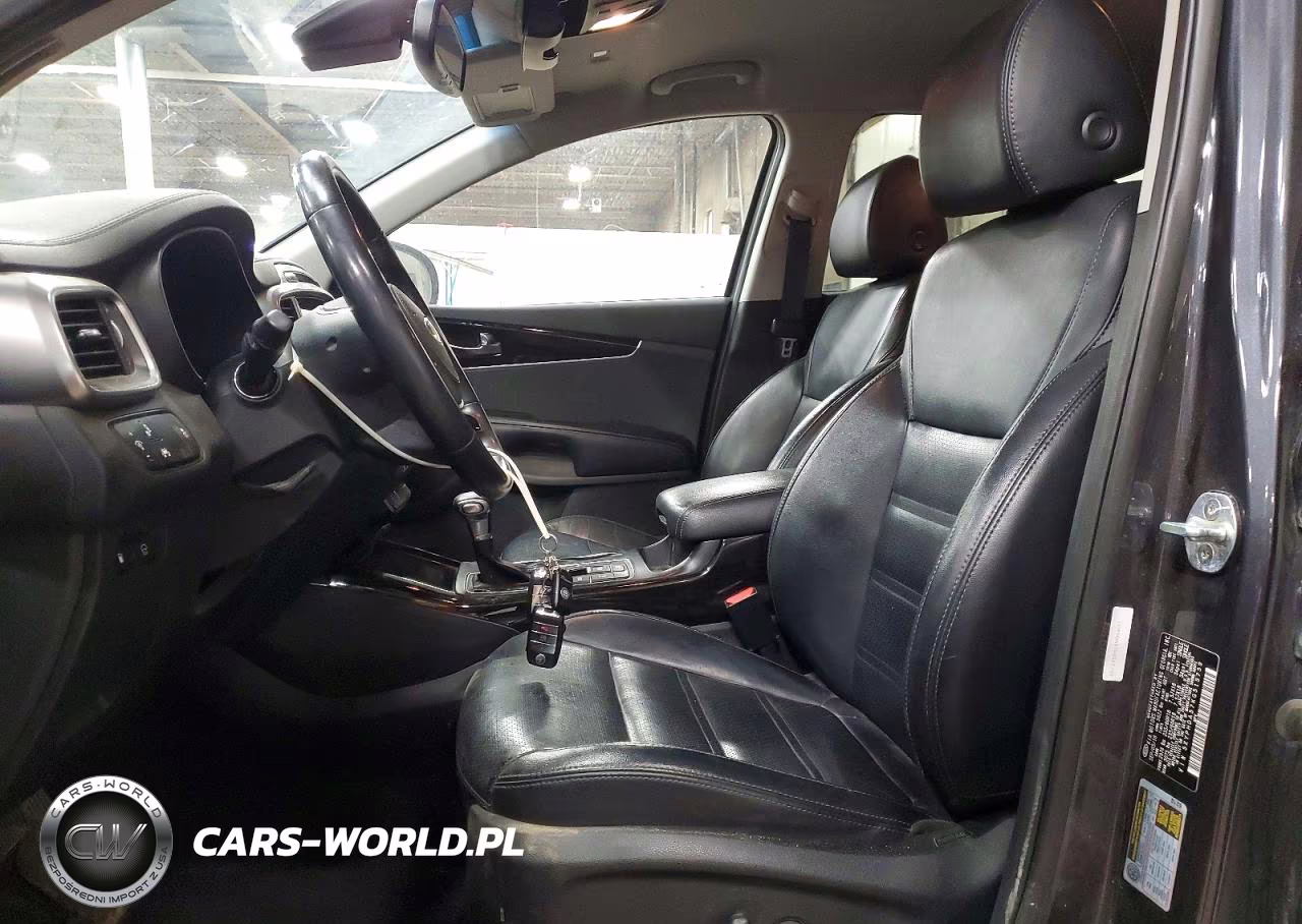 2019 Kia Sorento Ex V6 VIN:5XYPHDA57KG515759 - 7