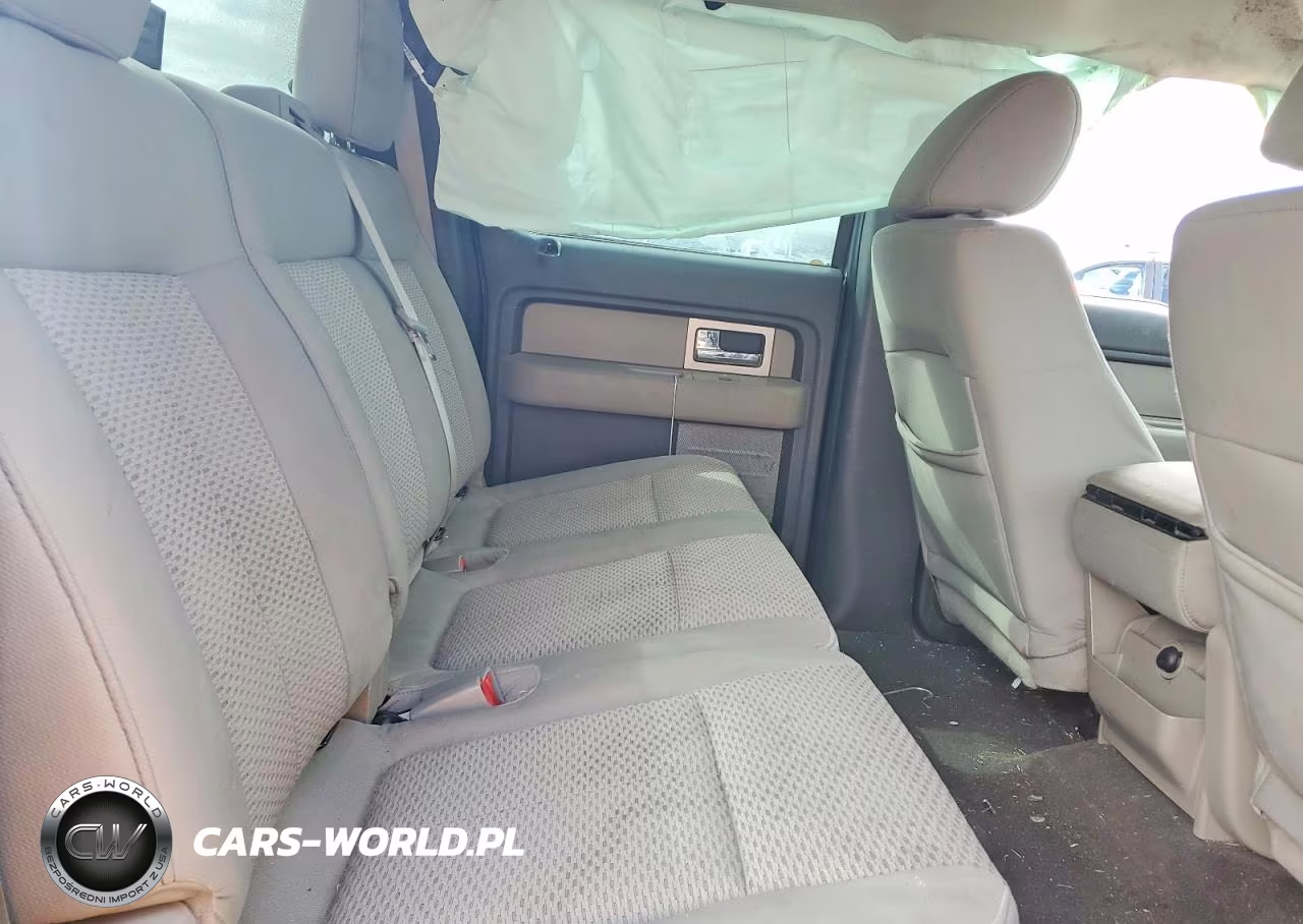 2010 Ford F150 Supercrew VIN:1FTFW1EV9AFB63991 - 10