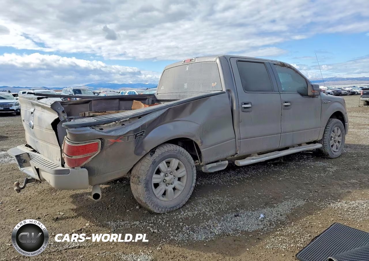 2010 Ford F150 Supercrew VIN:1FTFW1EV9AFB63991 - 3