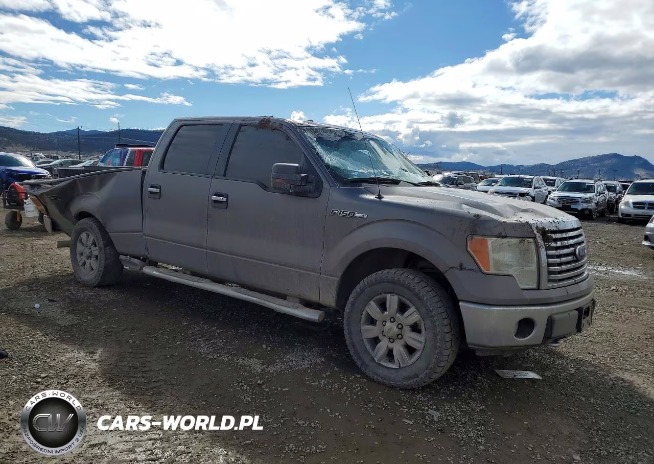 2010 Ford F150 Supercrew VIN:1FTFW1EV9AFB63991 - 4