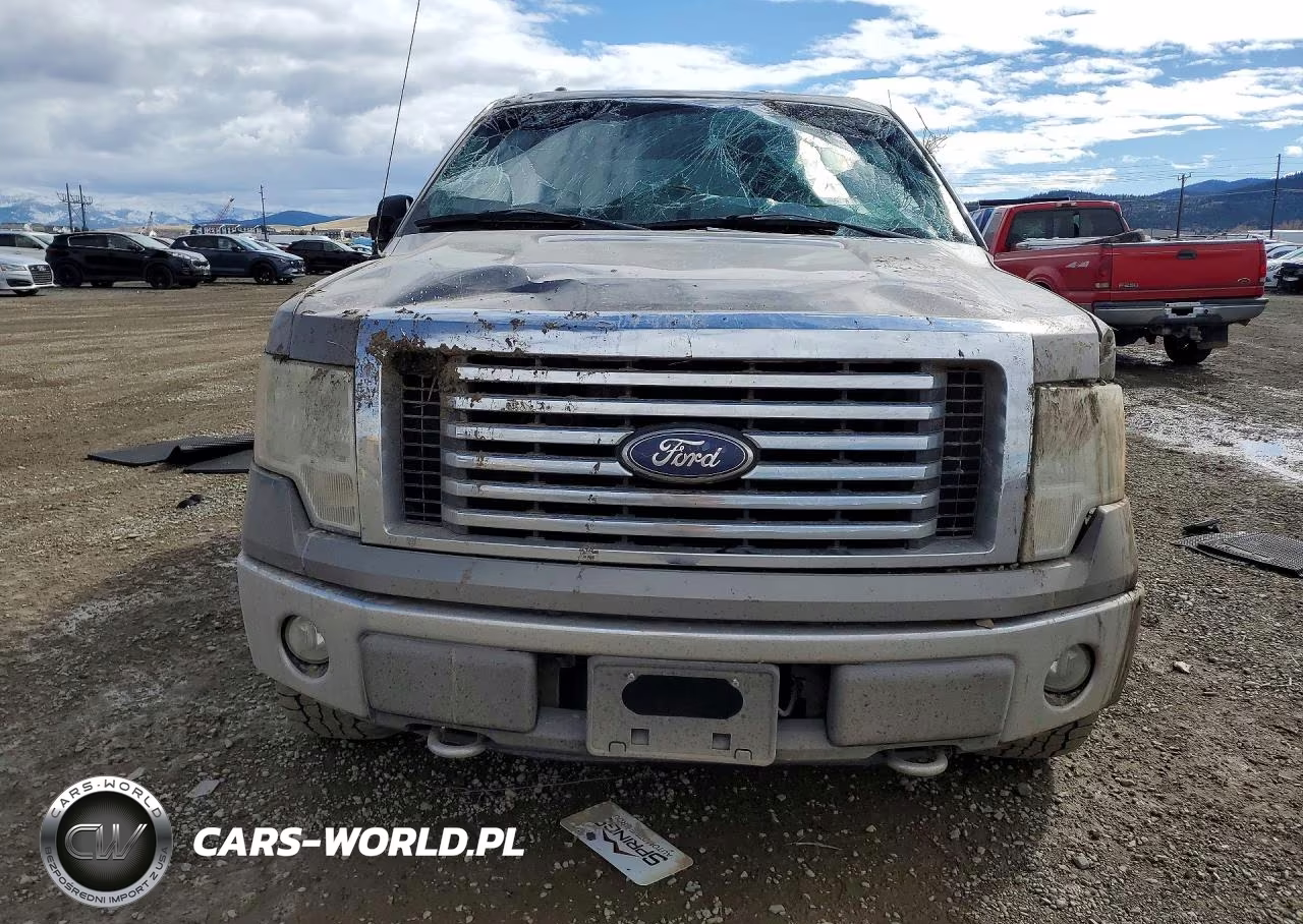 2010 Ford F150 Supercrew VIN:1FTFW1EV9AFB63991 - 5