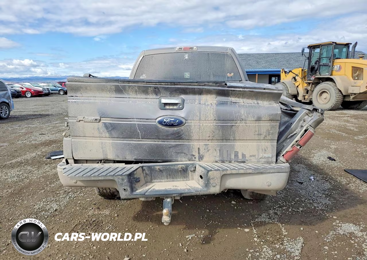 2010 Ford F150 Supercrew VIN:1FTFW1EV9AFB63991 - 6
