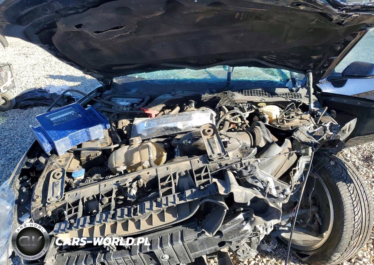 2021 Ford Mustang Gt VIN:1FA6P8CF0M5156476 - 11