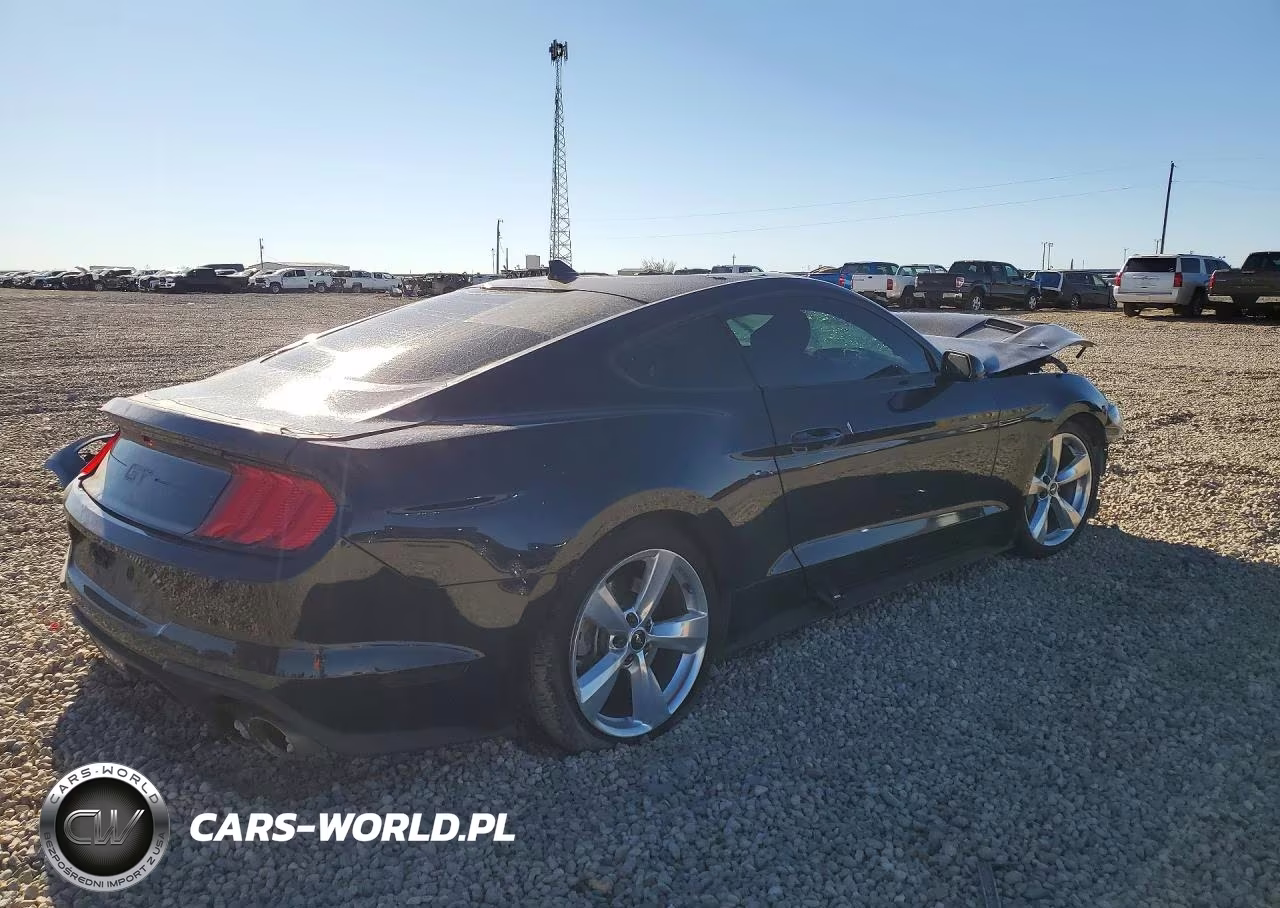 2021 Ford Mustang Gt VIN:1FA6P8CF0M5156476 - 3